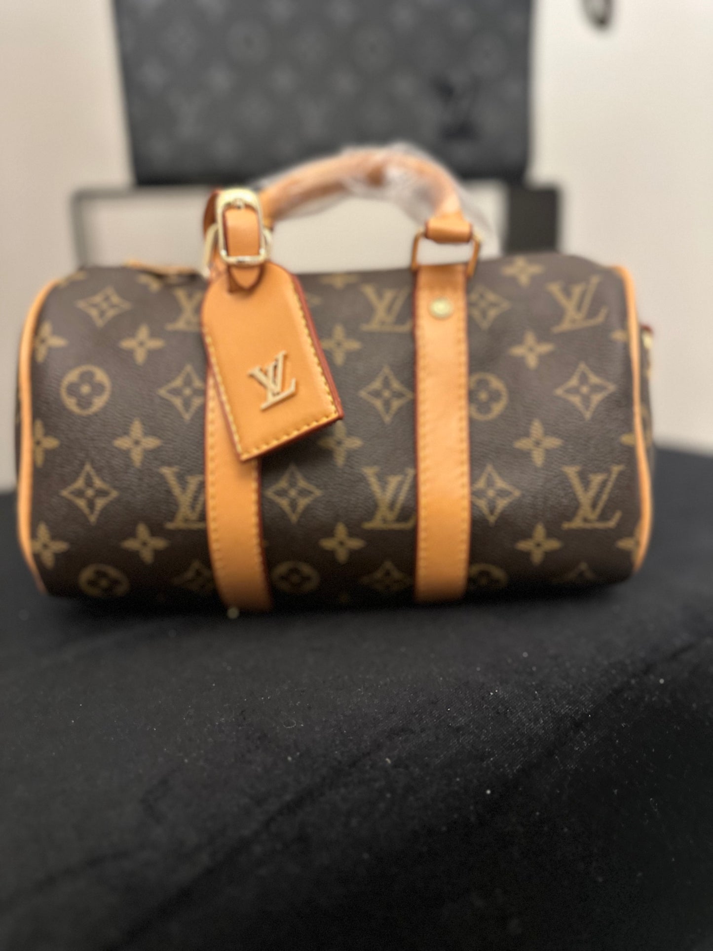 LV handbag speedy monogram